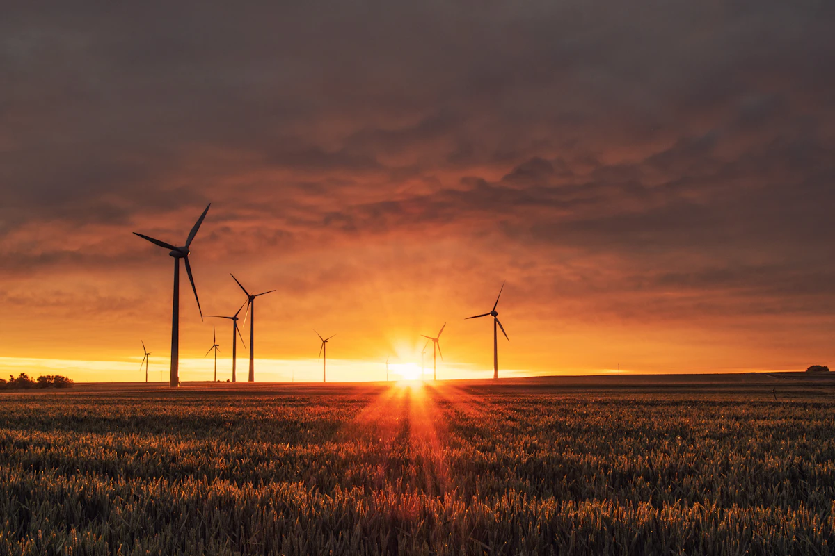 Wind farm at sunset